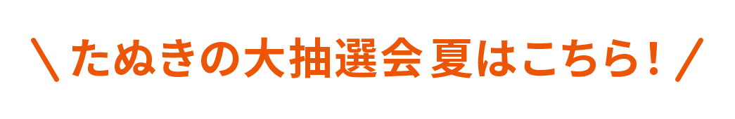 たぬきの大抽選会 夏 はこちら！