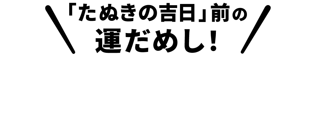 「たぬきの吉日」前の運だめし！