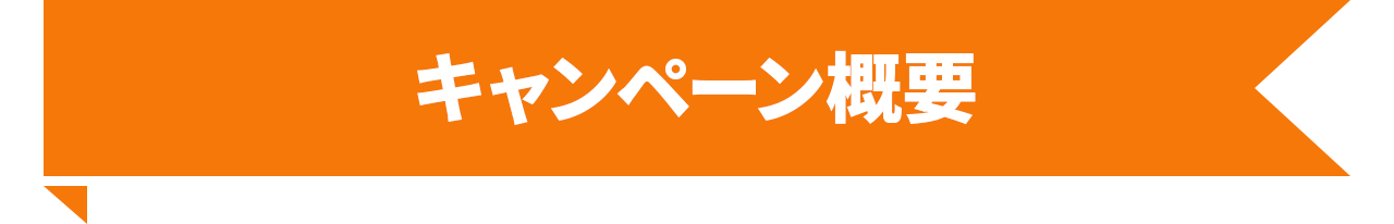 キャンペーン概要